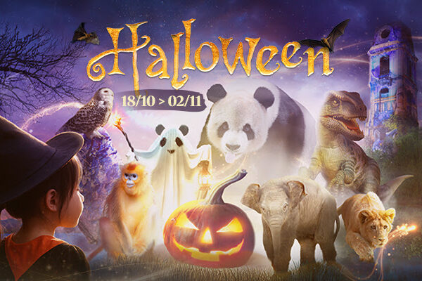 PAIRIDAIZA | HALLOWEEN IS BACK