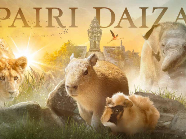 PAIRIDAIZA | Une idée de sortie ce weekend !