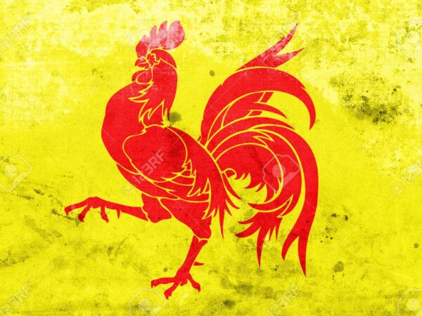 EMISSION | Quand l&rsquo;art wallon débarque !